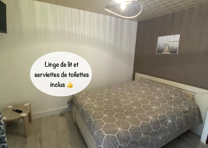 Appartement Centre Port Avec Piscine Port Richelieu Agde